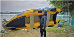 Tadpole YB330