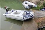 Tadpole 230
